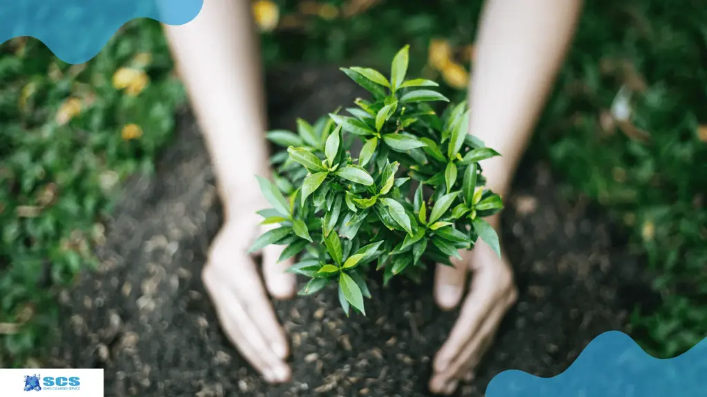 植栽管理 仕事内容