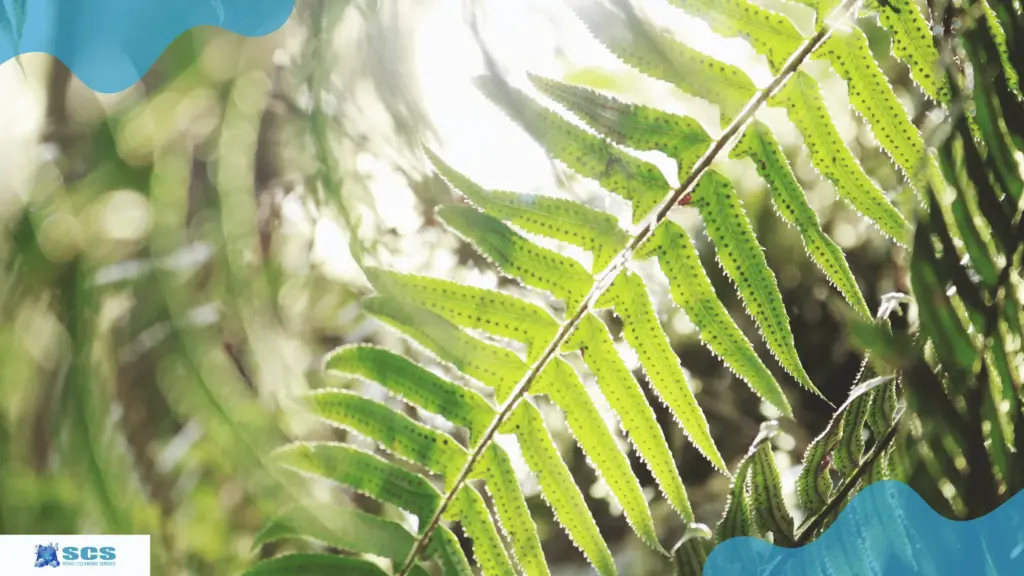 オフィスビル清掃 辞める前に